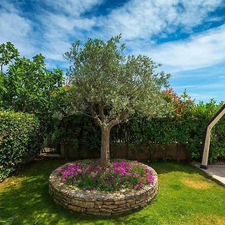 Tatil Evi Suprema